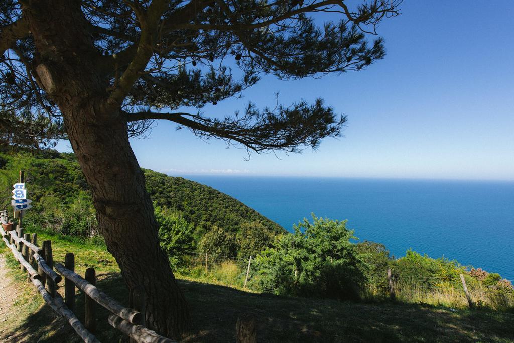 Torre Di Baratti Bio Resort Populonia Exteriér fotografie