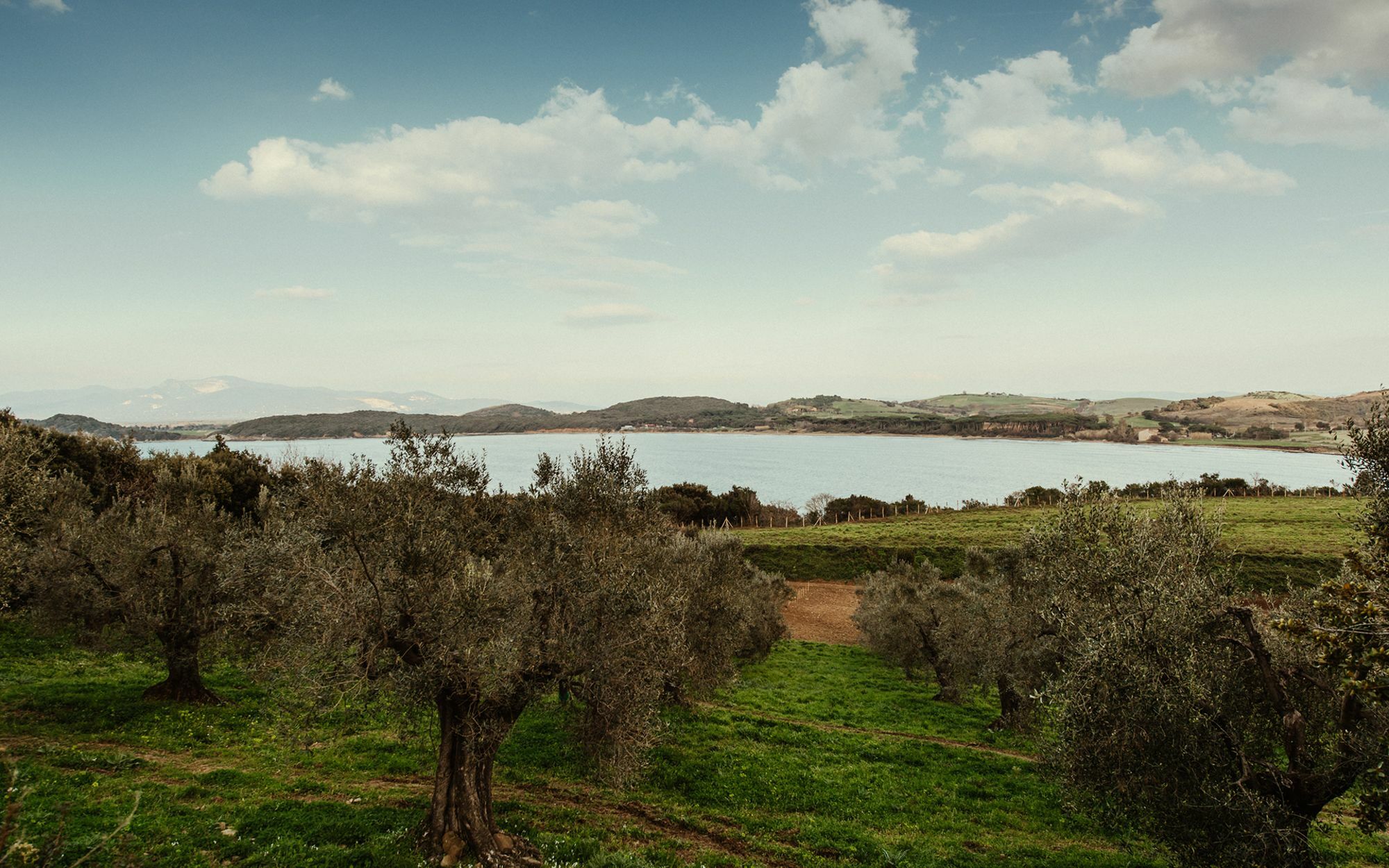 Torre Di Baratti Bio Resort Populonia Exteriér fotografie